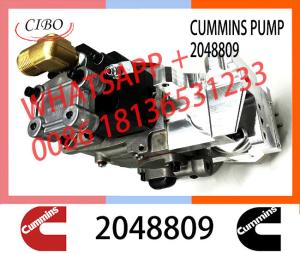 Wholesale Genuine Diesel Fuel Injection Pump 3892658 2048809 3042115 3019487 3279718 4915472 3059657 For Cummins NT855 from china suppliers