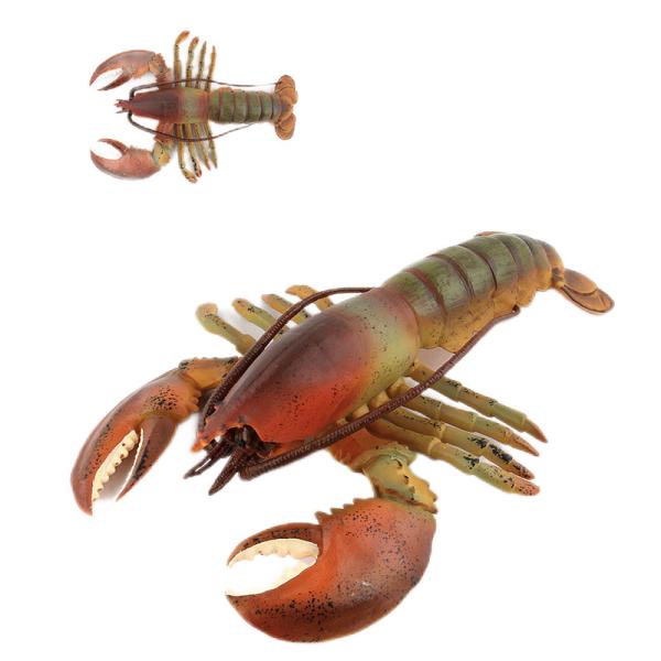 XYZ Company Plastic Marine Fauna Figure Replicas Set Assorted Colors For