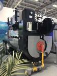 WNS Series Condensing Steam Boiler High Heat Transfer Efficiency Light Oil