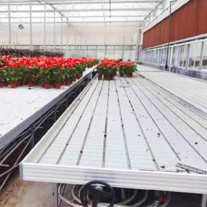 Wholesale Practical Customizable Greenhouse Rolling Tables Movable Design Pc Sheet Cover from china suppliers