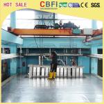 5 Kg - 100 Kg High Output Commercial Grade Ice Machine For Freezing Seafood