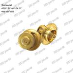 Thermostat 6D105 PC200-3 600-421-6210 Engine Part