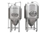 300L SS304 / 316 Conical Beer Fermenter Equipment Of Making Craft Beer