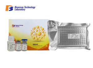 Wholesale Customized Rat Insulin Like Groeth Factor Binding Protein 3 ELISA Kit 96 Wells IGFBP3 Sandwich ELISA Kit from china suppliers