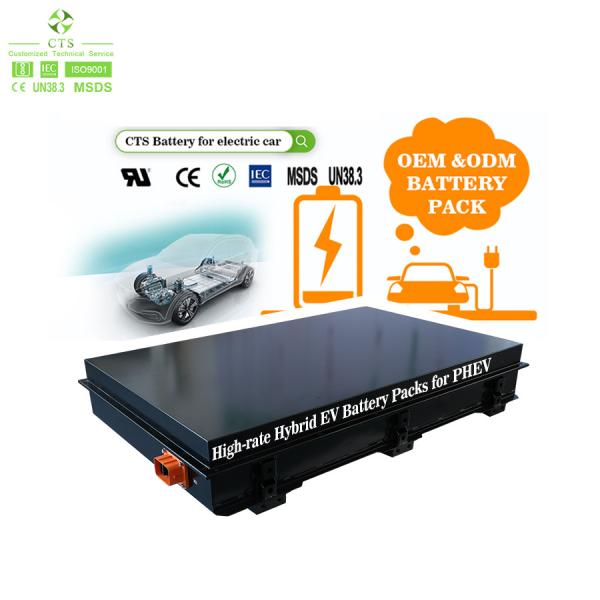 Deep Cycle Lipofe4 NMC Battery Pack 280v 300v 25ah 30ah 48ah For Plug-in