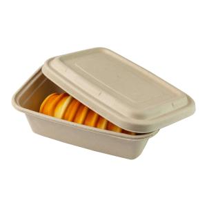 Wholesale 750ml 850ml 1000ml Sugarcane Bagasse Food Container Biodegradable Moulded Pulp from china suppliers