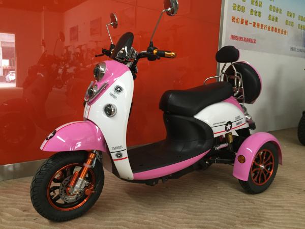 Electric Tricycle Scooter With 800W Brushless Powered Tricycles For Adults Lead