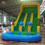 Large Inflatable Water Slide With Rainbow Double Lane Water Slide With Adult