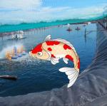 0.2mm-3mm Thickness Geomembrane Liners for Aquaculture Ponds Industrial Design