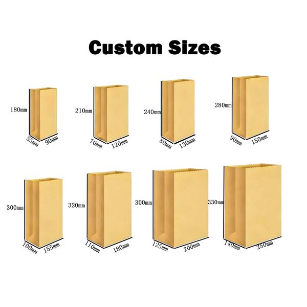 Customized Kraft Paper Twisted Handle Bag Printing Take Away Bag