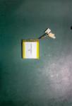 Rechargeable Li-ion NCM 3.7V 2000mAh Battery Li Polymer for Muscle Relax Device