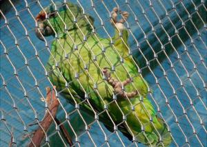 Wholesale Ferruled Stainless Steel Bird Aviary Wire Mesh Netting from china suppliers