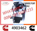cummins Diesel Engine parts Cmmins QSL8.9 Fuel Pump 3973228 4954200 4921431