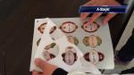 A4 Size Paper Sticker Cutter Auto Feeding System For Food/Wine Labels Making