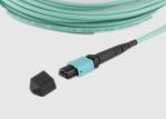 Single Mode Riser OFNR 2.0mm 1m MPO Fiber Cable