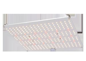 Wholesale 660nm AC 277V Full Spectrum LED Grow Lights from china suppliers