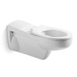Ceramic Sanitary Ware Disabled Toilet Set Wall Hung For Disable People