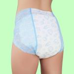 Economic Disposable Womens Panties with Dry Surface and 3D Leak Prevention