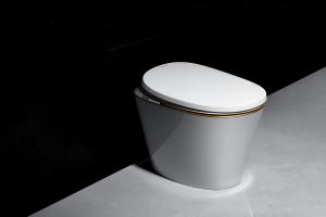 Wholesale Ceramic Material Auto Wash Toilet Warm Water Washing Remote Control Design Smart toilet from china suppliers