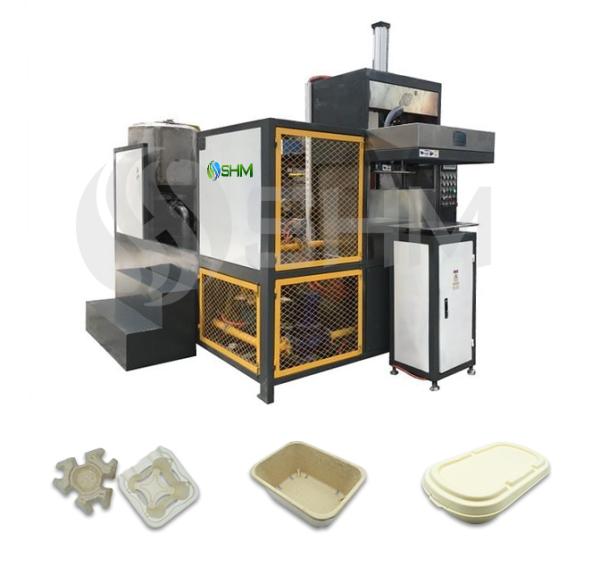 Small Biodegradable Bagasse Pulp Molding Machine Automatic Sugarcane Plate