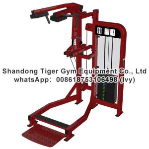 Wholesale Single Station Gym fitness equipment machine Standing Calf exercise machine from china suppliers