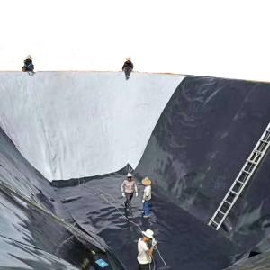 Wholesale HDPE Waterproof Geomembrane Soil Stabilization Geocell Grid for Dam Landfill Lake Pond from china suppliers