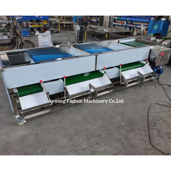 Olive Sorting Machine, Olive Grading Machine, Olive Grader Sorter
