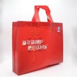 Sophisticated technology Eco Non woven Reusable Shopping Bags