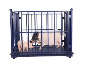 Wholesale Anti Rust 3000KG Digital Livestock Scales With Fence from china suppliers