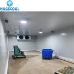 High Capacity 5000 Tons Cold Storage Room for Vegetables Fruits at 0-10C