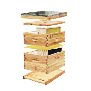 Wholesale 10 Frames Langstroth 2 Layers Complete Beehive Wax Coated For Beekeeping from china suppliers