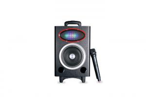 China Wedding Events Outdoor Waterproof Speakers , Audio Player Speaker With Wireless Mic on sale