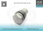 Diesel Common Rail CR Diesel Part Bosch Pressure Relief Valve 1110010015 (1110