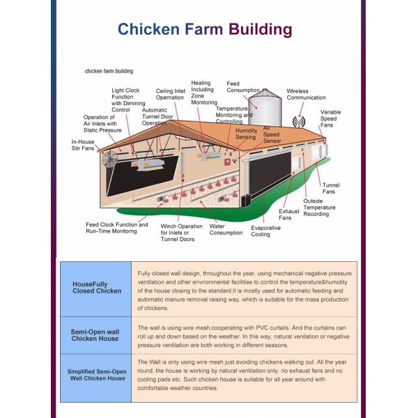 Steel Structure Layer House Customized for Egg Chicken Breeding Fast Installation