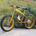 50km/H 48v 1000 Watt Electric Mountain Bike