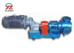 High Viscosity NYP Internal Gear Pump For Bitumen Glue Molasses Honey Transfer