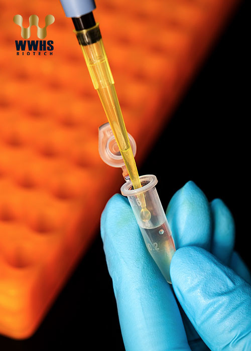 Estradiol (E2) Rapid Quantitative Test (Fluorescence Immunoassay) By Wwhs