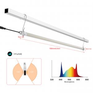 Wholesale Interlight Greenhouse LED Grow Light For High Wire Crops Boost Yield from china suppliers
