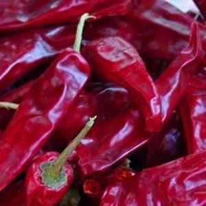 Wholesale 10kg/Bag Red Dried Chilli Peppers With Power And Stemless Or Stem Cut Peppers from china suppliers