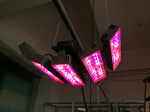 Wholesale Led square growing lights100W, 300W , 150W 420.0x223.0xH110.0 mm dimmension led cob downlight with honeycomb chimney sh from china suppliers