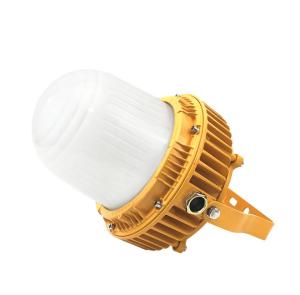 Wholesale 40W Portable Explosion Proof LED Light Luminaire 5 Years Warranty AW-EPHB613 from china suppliers