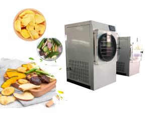Wholesale Electric Heating Small Home Freeze Dryer SUS304 For Fruit And Vegetable from china suppliers