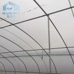 Polytunnel Sri Lanka Colombo Steel Frame Greenhouse Single Span