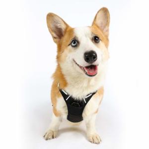 Wholesale Air Padded Mesh Nylon Dog Harness With Sturdy Top Handle from china suppliers