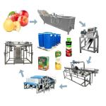 Industrial Apple Puree Production Line Machine For Processing Baby Food