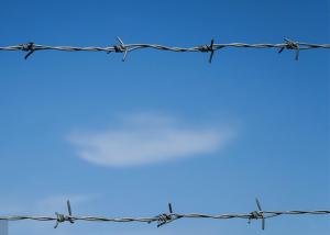 Wholesale Use of prison walls PVC Coated /Galvanized Barbed Wire Coils fence from china suppliers