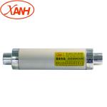 3.6A-315A Power System Protection Capacitor Bank Fuse Sfodj-3.6/160