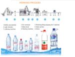 Standard Caps 3-IN-1 Bottle Washing-Filling-Capping Machine Production Line