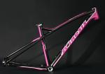 XC Hardtail Mountain Bike Frame Internal Cable Rounting Custom Painting Design