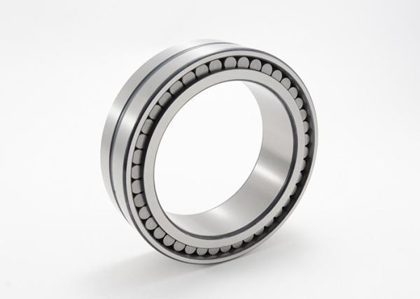 No Cage Double Row Full Complement Cylindrical Roller Bearings SL02 4912 SL02